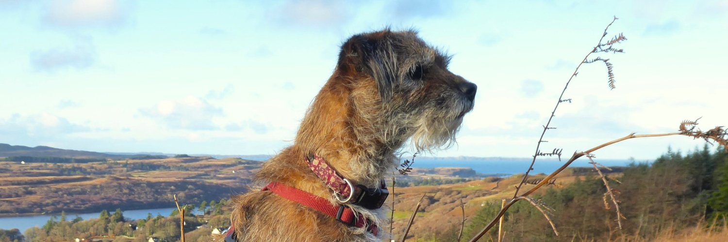 Katy Chaos 🌈 banner