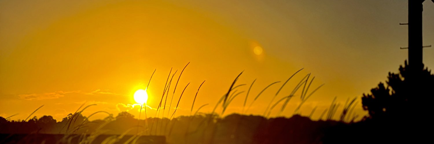 Davidtrax's profile banner image