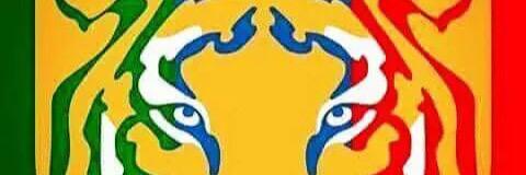 XicoPadilla's profile banner image