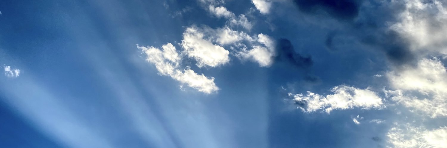 lilivanurr's profile banner image