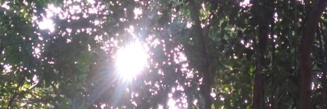 Martín Costa banner