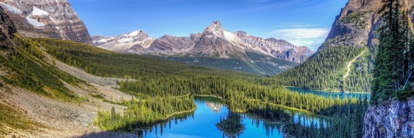 cbent12 Profile Banner