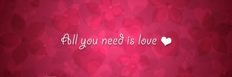 amitlevi15's profile banner image
