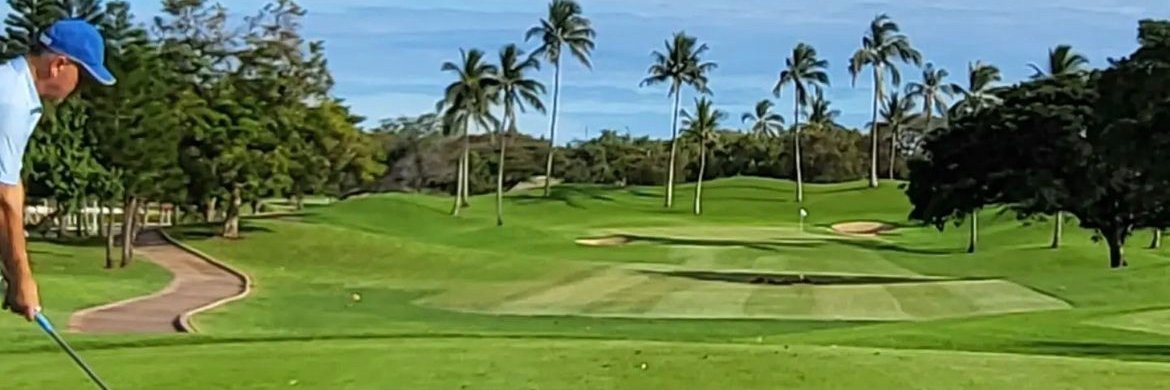 GrapefruitBasil banner