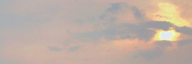 Morphy banner