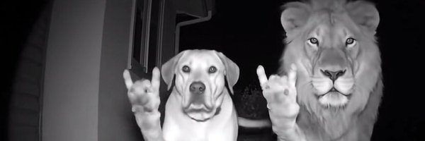 Danio0x0 Profile Banner