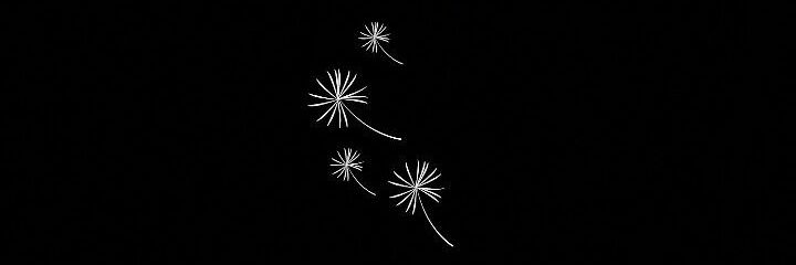 Ans Castro banner
