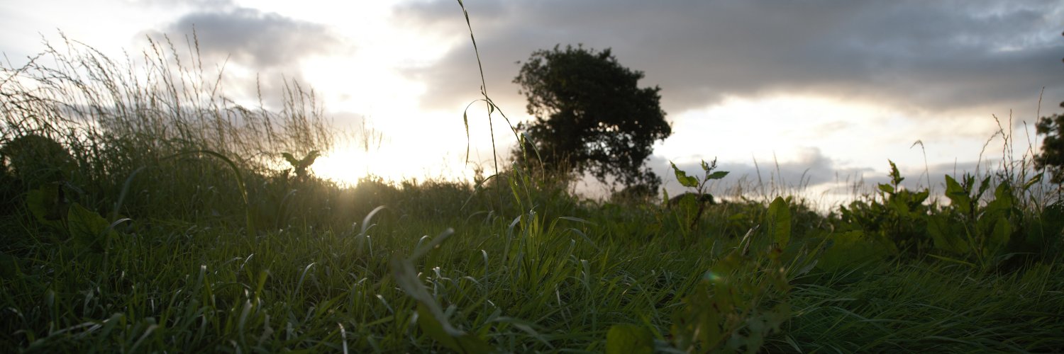 Ellen McWilliams banner