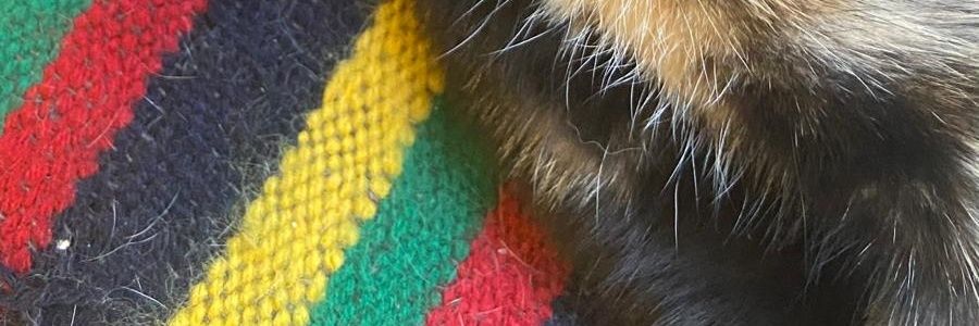 Jmockingbird87 banner