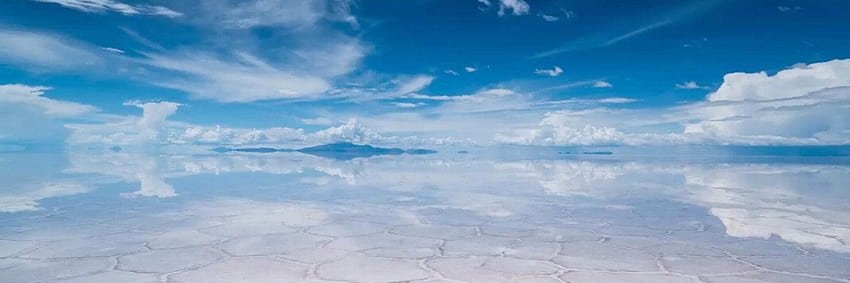 ドナルド banner