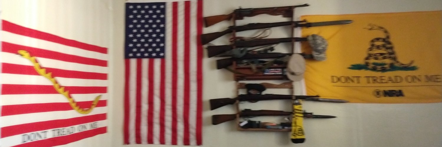 Well Regulated Militia Of One Still Under Oath🫡 banner