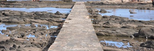 luduvicu Profile Banner