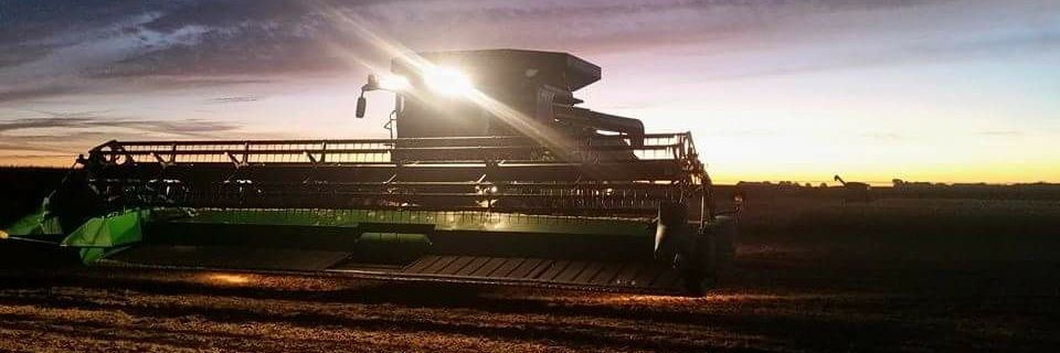 Austin Rincker banner