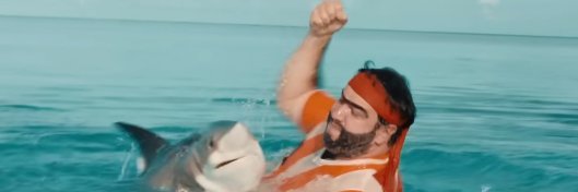 Your local sigma pirate's banner
