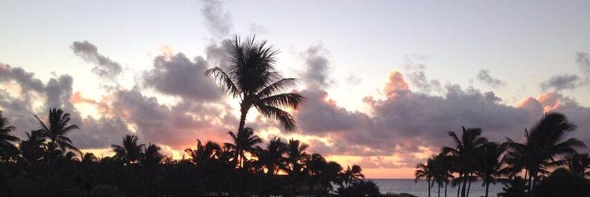 Elizabeth Brigham banner