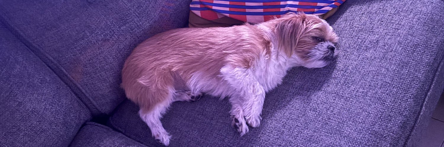 briefcasebulbasaur banner