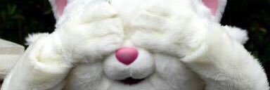 あさみ banner