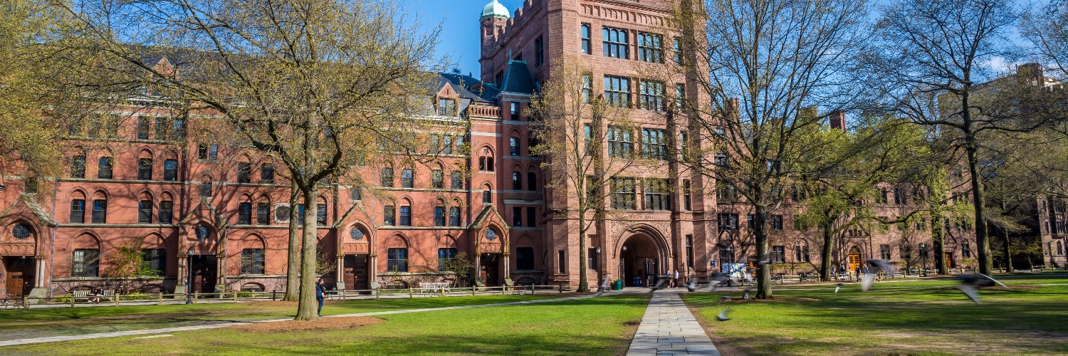 FightforYale's profile banner image