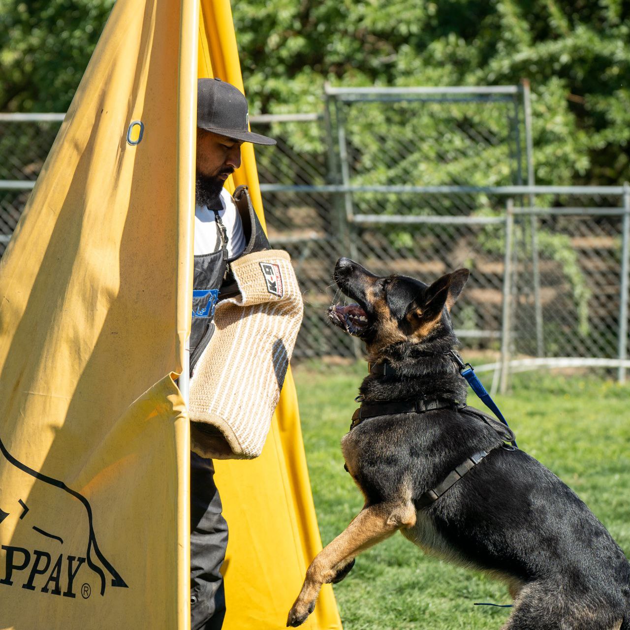 Low Tech Viking banner