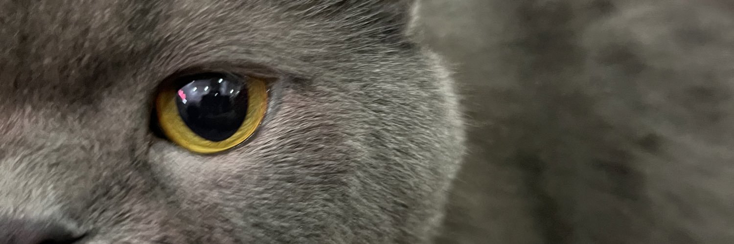 alice928jpatsy banner