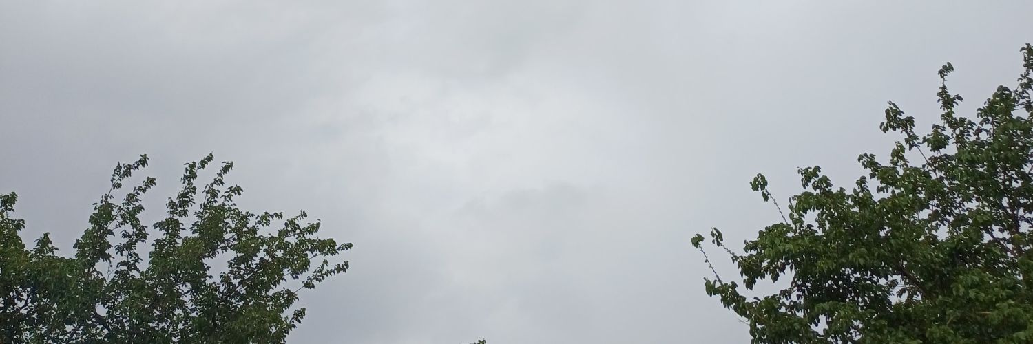 Mohammadrezavj's profile banner image