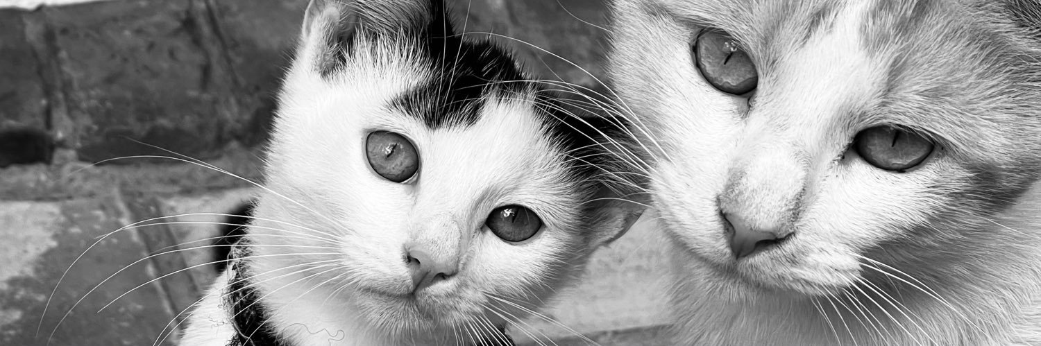 Kerri Edwards banner