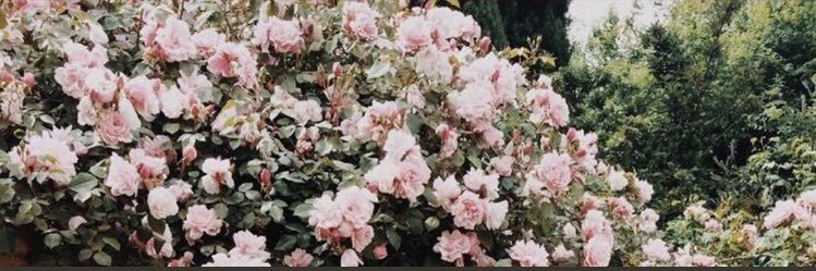 1B_esh's profile banner image