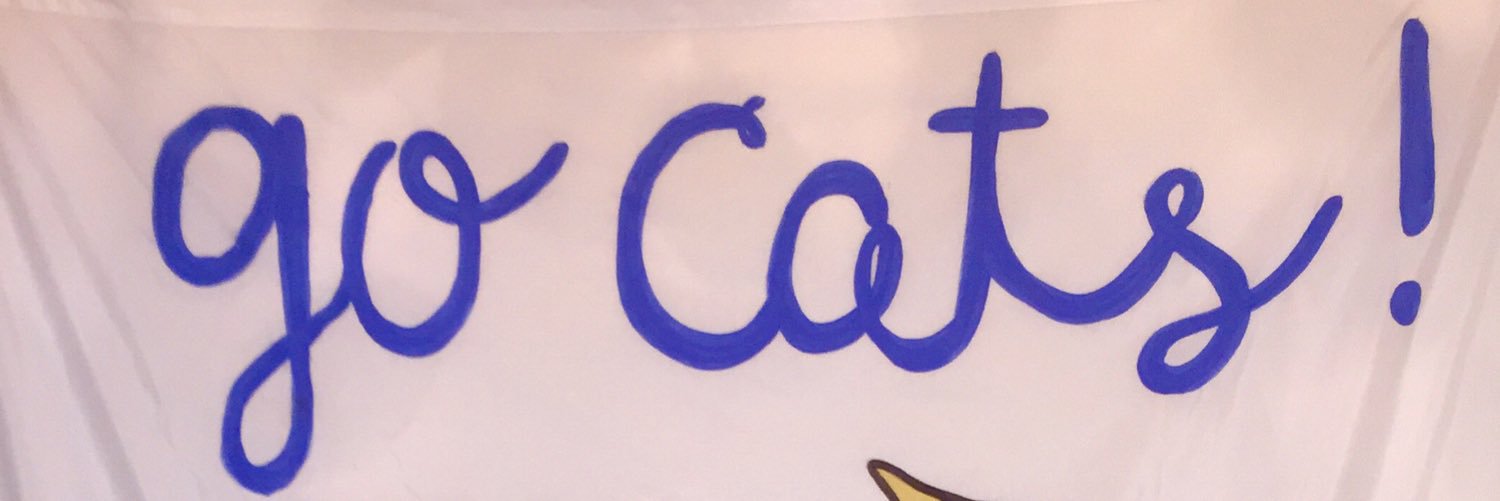 cass_inman's profile banner image