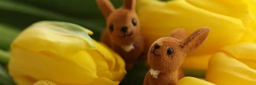 hdgss66's profile banner image