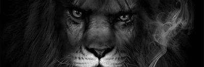 aKingandMoree's profile banner image