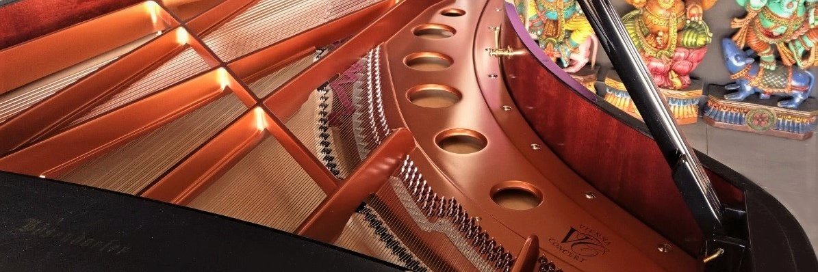 Raffaele Ferilli banner