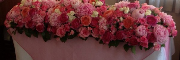 ariagold Profile Banner