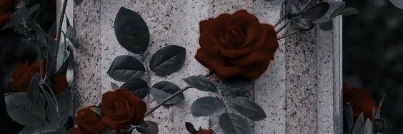 MLK banner