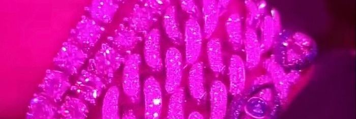 sebussg banner