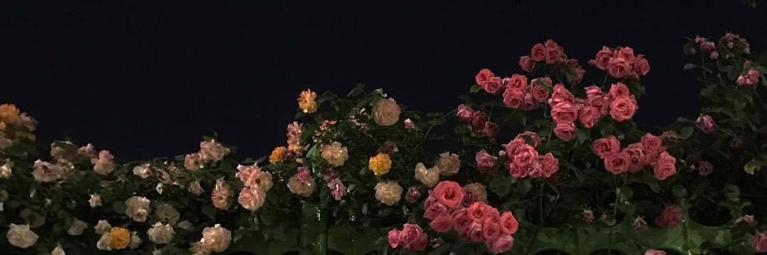 ออนอ.🌻 banner