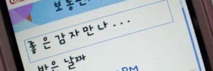 🦋5⁶ᴺ˒¹²➝🥔(감믈..) banner