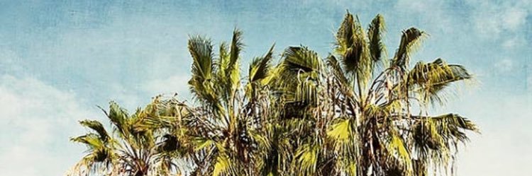 AxAuerbach's profile banner image