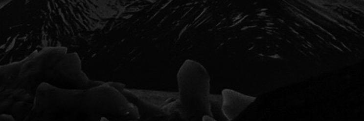 zepheria's profile banner image
