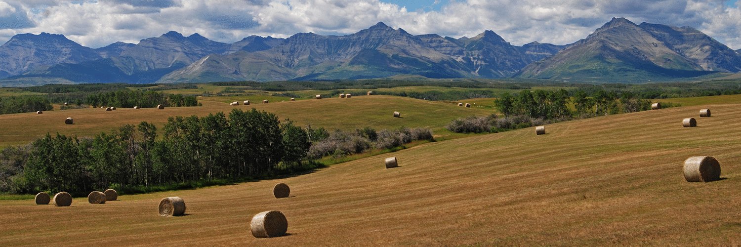 Community Foundation Lethbridge & Southwestern AB banner