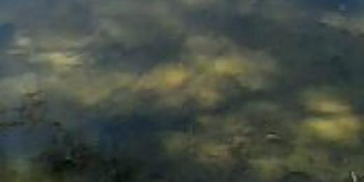 adelelbelawy's profile banner image