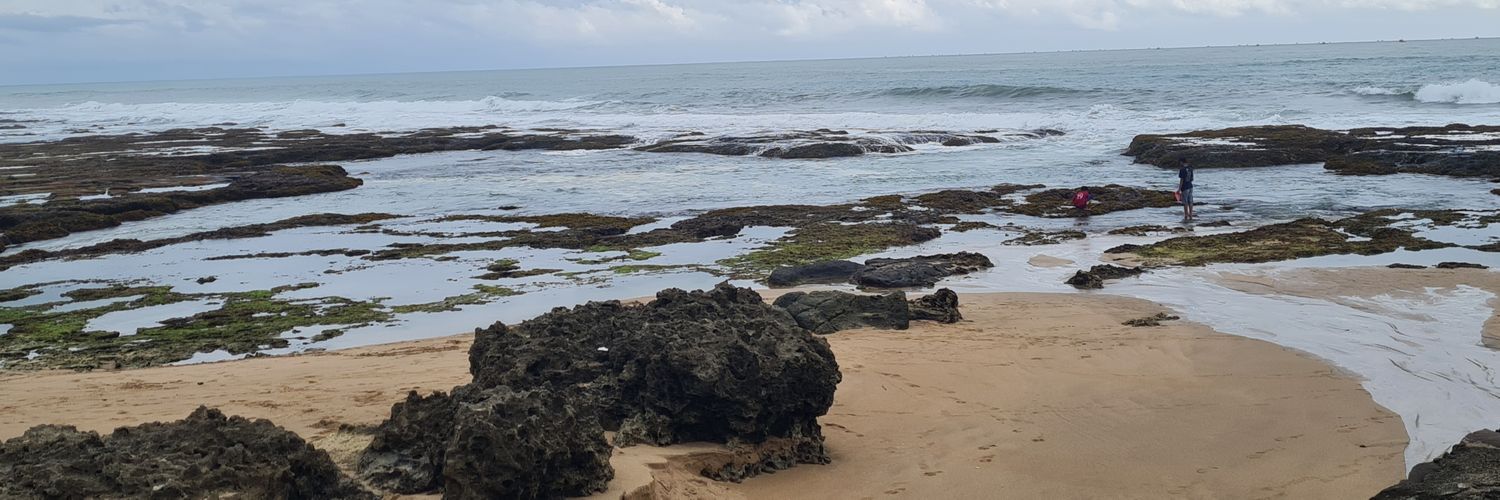 caytoro's profile banner image