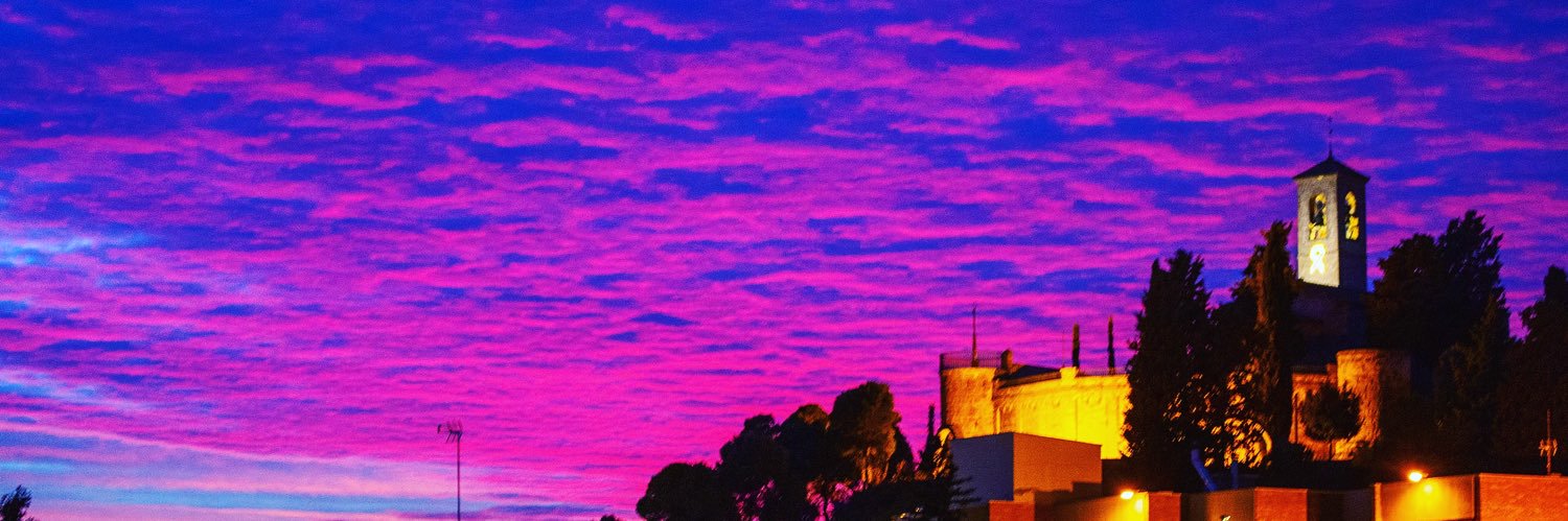 Laia Pedrós Castany🎗 banner