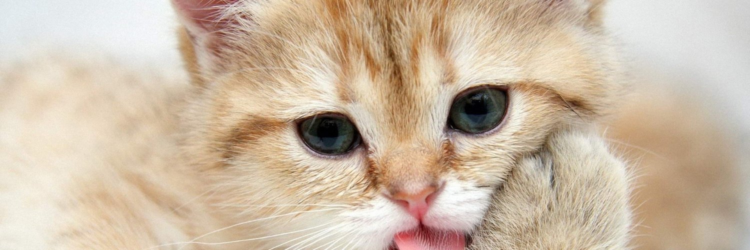 MayMichael16's profile banner image