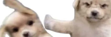 jalyo4's profile banner image