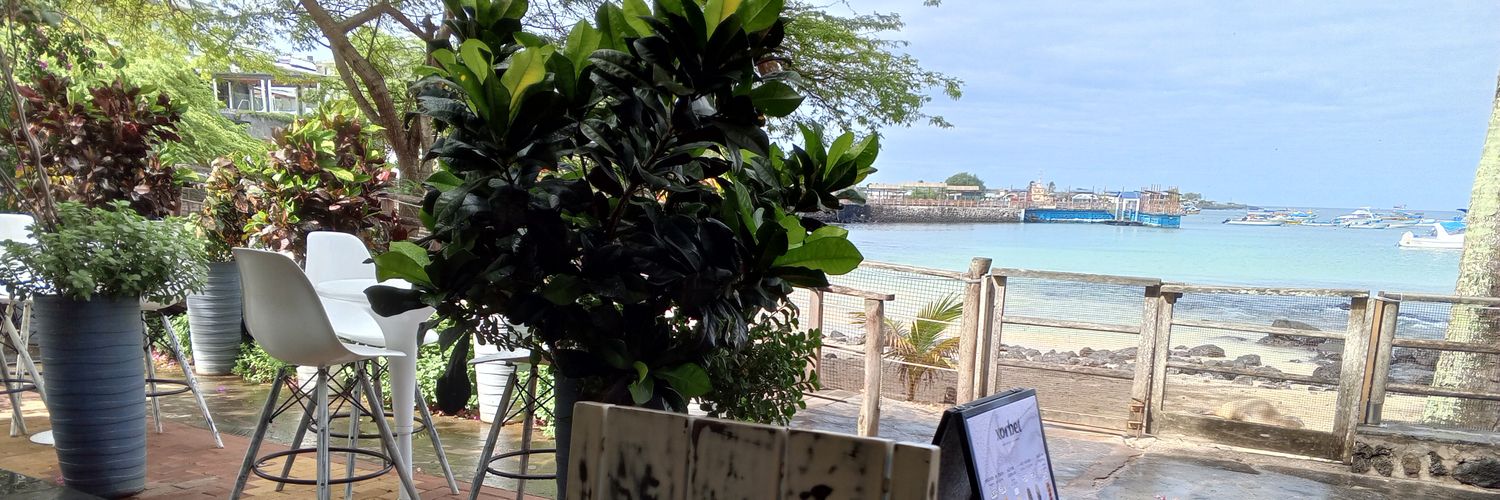 AljandroBoada's profile banner image