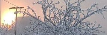PedroPepoway's profile banner image