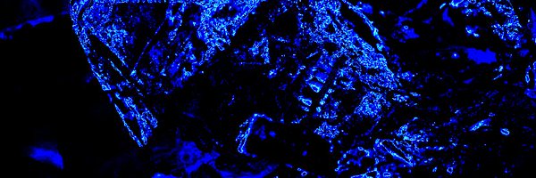 zxriptor Profile Banner