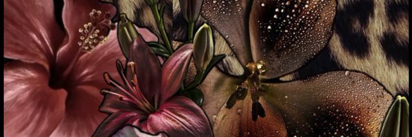 killagirlxox Profile Banner