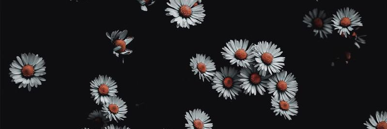 OHTHEMISERY_'s profile banner image