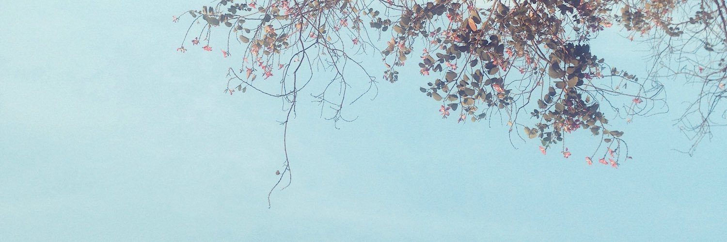 FaraahAA's profile banner image